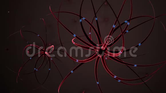 穿过大脑内的神经细胞网络视频的预览图