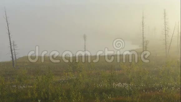 西伯利亚亚马尔半岛风景名胜区日出时雾消散时间视频的预览图