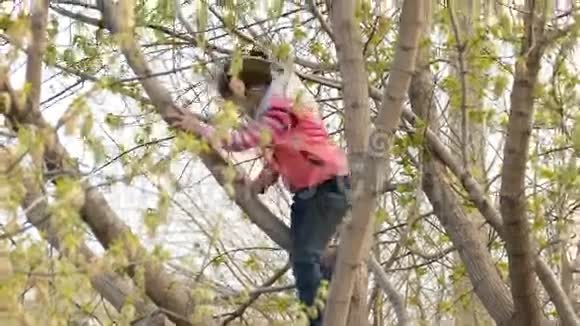 少女穿着春装爬树玩耍视频的预览图