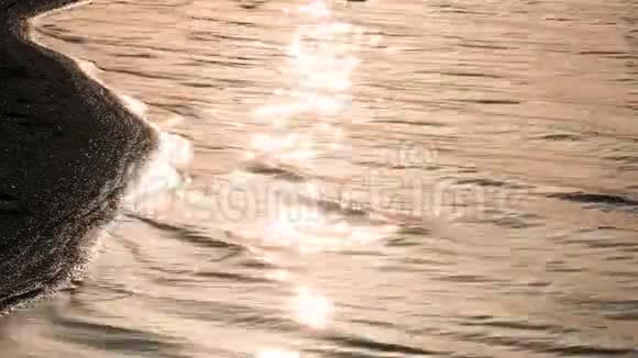 日落时海滨的金色水面视频的预览图