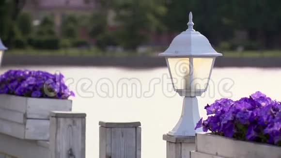 夏日的白色手电筒和两个花坛紫罗兰背景上的水视频的预览图