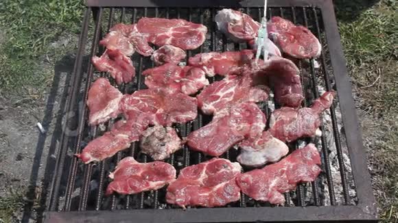 烤架上的猪肉牛排视频的预览图