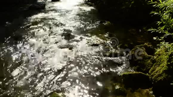 后面有石头照明的河流视频的预览图