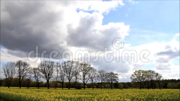 四月的风景云树木和田野视频的预览图