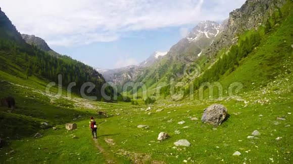 背包客徒步在田园风光阿尔卑斯山上的夏日冒险和探索穿过盛开的草地和绿色的林地视频的预览图
