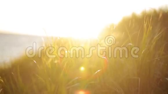 山上绿草如茵背景上美丽的日落太阳光束视频的预览图