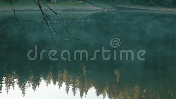 喀尔巴阡山塞内维尔湖畔美丽而神秘的晨雾视频的预览图