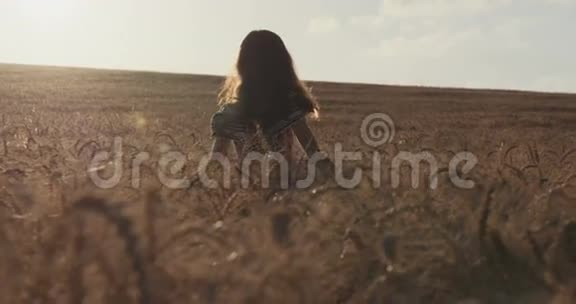 日落时分金色田野里的少女幸福地举起双手视频的预览图