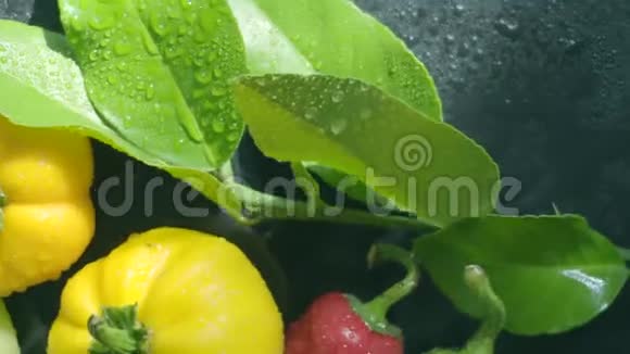 蔬菜茄子和胡椒在黑暗的水面上滴着水珠视频的预览图