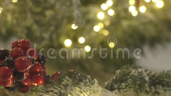 结霜圣诞树背景上的红色浆果视频的预览图