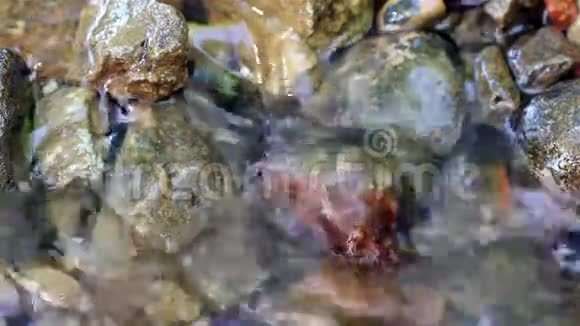 水流过石头视频的预览图