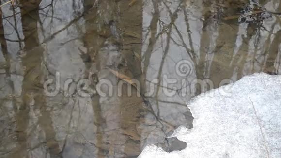 春天冰融化的小溪水面视频的预览图