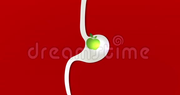 胃和苹果视频的预览图