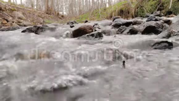 摄像机正在移动一条森林溪流干净的淡水流过苔藓的岩石视频的预览图