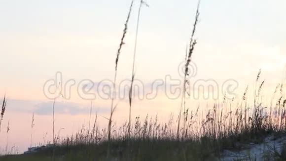佛罗里达彭萨科拉美丽的日落视频的预览图