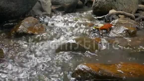 4K景区自然溪流瀑布视频的预览图