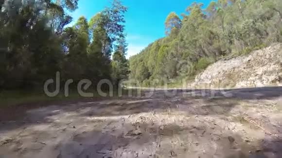 一辆汽车在澳大利亚塔斯马尼亚的森林里行驶视频的预览图