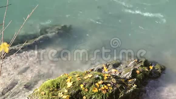 山河上长满苔藓的大块岩石视频的预览图