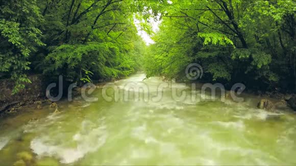 平静的河水在郁郁葱葱的绿茵中流淌视频的预览图