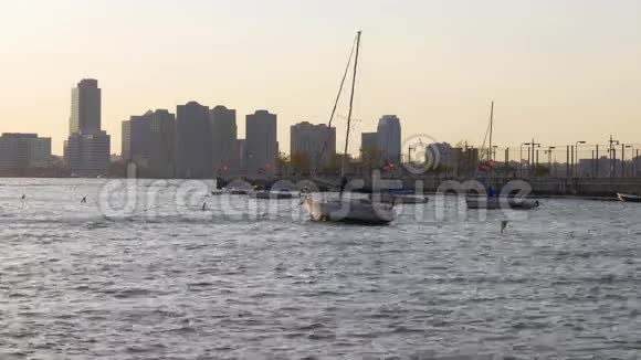 日落夏日纽约哈德逊河船坞泽西岛4k美国视频的预览图