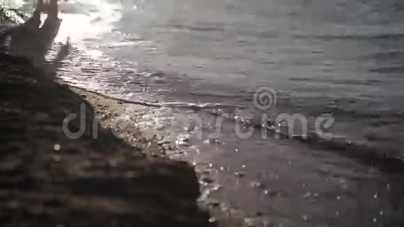 一个人沿着海滨散步视频的预览图