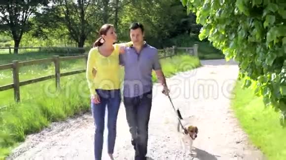 西班牙籍夫妇带狗到乡下散步视频的预览图