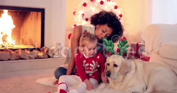 家庭圣诞庆典视频的预览图