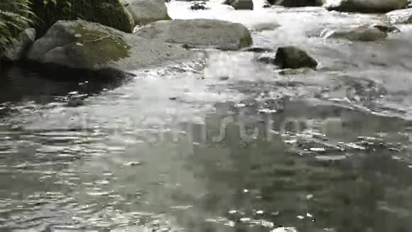 轻轻的小溪流淌视频的预览图