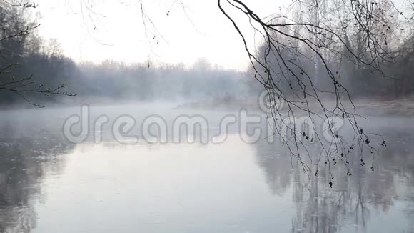 清晨在北欧春天的雾水上视频的预览图