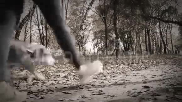 秋天公园的老电影女孩与小猎犬在散步视频的预览图