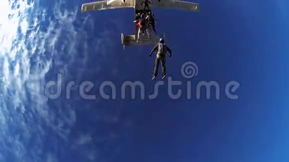 跳伞者从飞机上跳下来落在蓝天上肾上腺素夏天极端极端视频的预览图