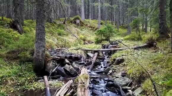 一种山涧的景色它沿着有木头的石头的山坡流下来视频的预览图