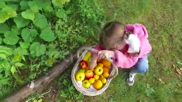 女孩在夏天的森林里吃杏子这个女孩在新鲜空气中有很好的食欲视频的预览图