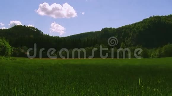 在夏天阳光明媚的日子里山的全景覆盖着绿色的树林蓝天绿色的田野大自然视频的预览图