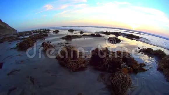 加州日落海水月光海滩2号视频的预览图