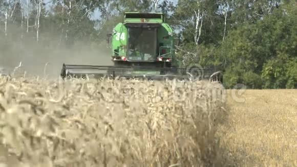 小麦领域的工作收获组合视频的预览图