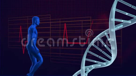 在心电图背景下向DNA分子移动的全息人视频的预览图