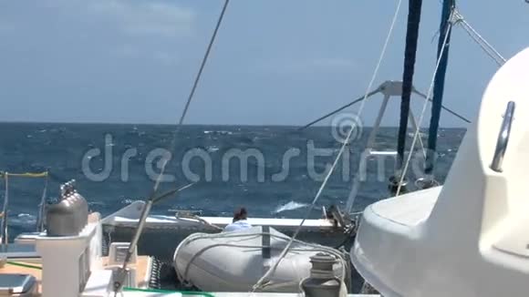 加勒比海双体船和大浪视频的预览图