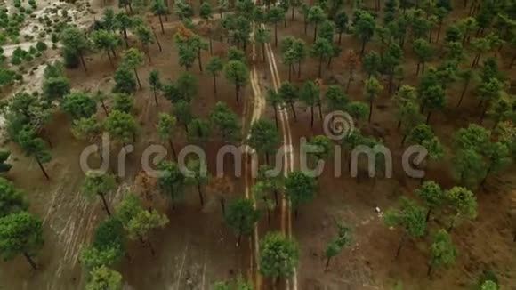 山林碎石路高空拍摄视频的预览图