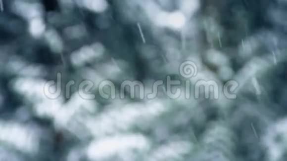 森林中雪花的特写视频的预览图
