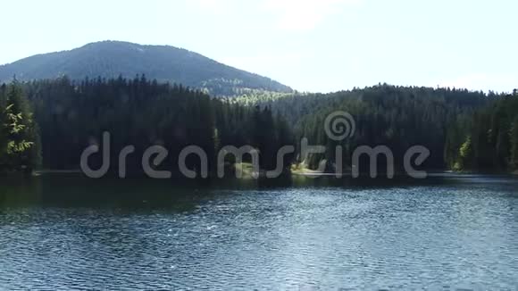 森林和山脉环绕的大湖美丽的景观视频的预览图