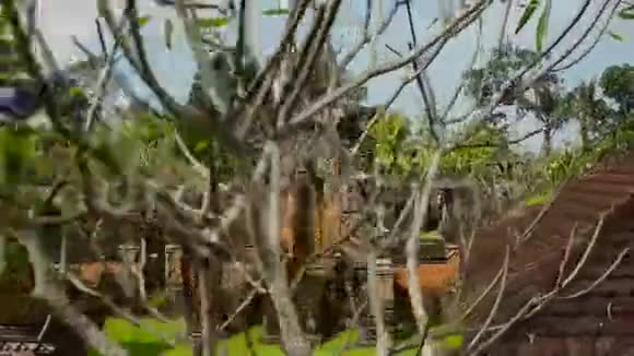 鸟瞰巴厘岛印度教小寺视频的预览图