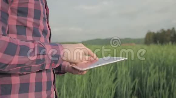 现代男性农民带着平板电脑在田里视频的预览图