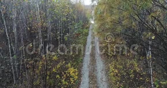 秋路车的天景秋天森林中乡间小路的鸟瞰图森林和公路视频的预览图