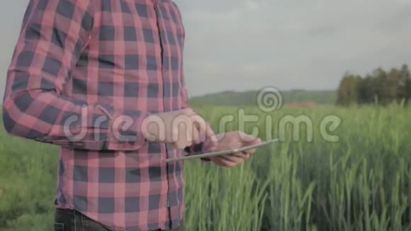 现代男性农民带着平板电脑在田里视频的预览图