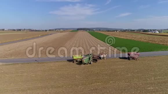 阿米什农民和马正在收割的农田和麦田上空的飞行视频的预览图