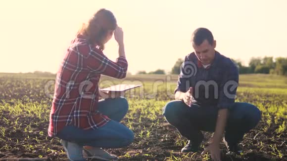 智能生态农业团队在农业中使用现代技术农民男女在泥地里工作视频的预览图