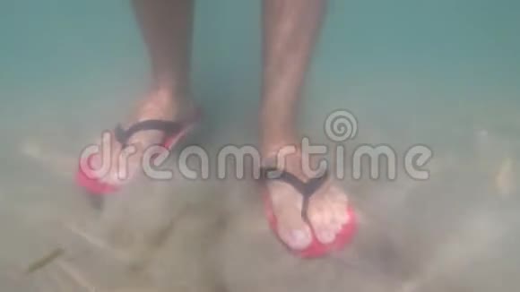 在沙滩上行走的水下脚射视频的预览图