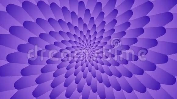旋转明亮对称的紫罗兰花瓣漏斗视频的预览图