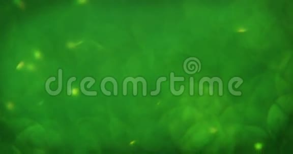 绿色离焦的特写视频的预览图